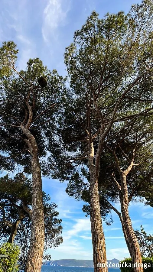 Seaview Apartments Croatia Karla Mošćenička Draga Κροατία